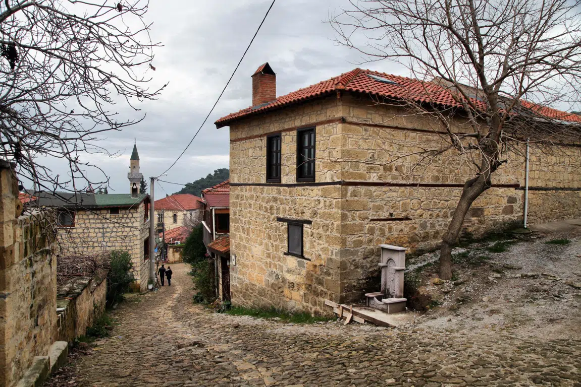 Gallery image
